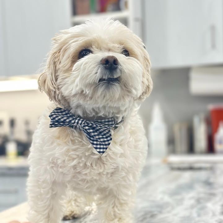 They say first impressions matter