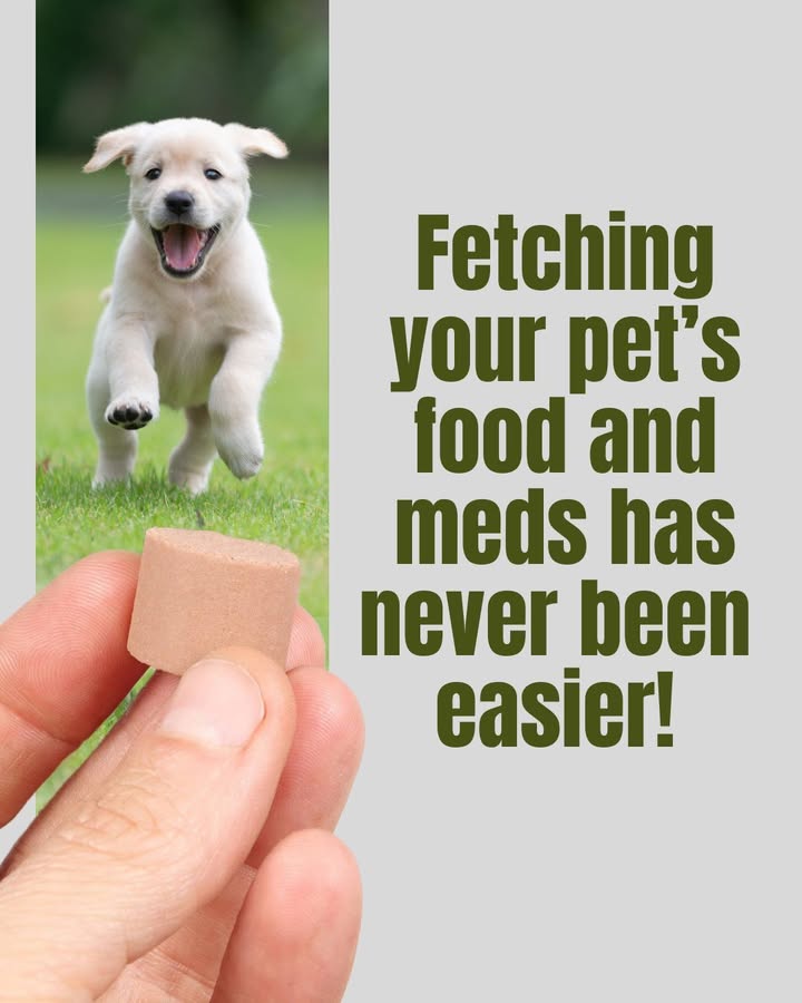 📦 Does your pet need a refill on their food or meds?