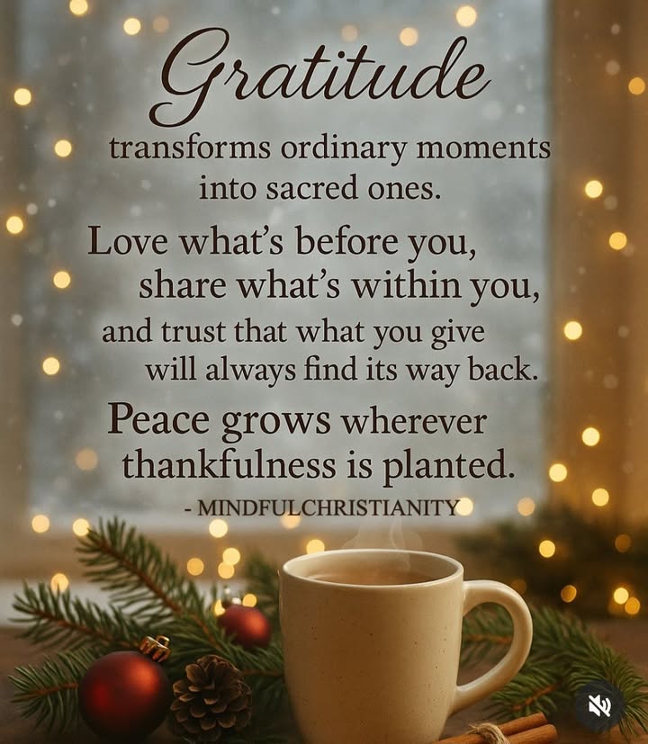 Happy Sunday! 🙏❤️🐾