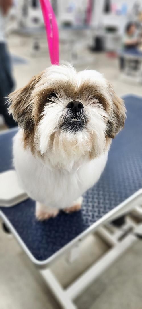 My mom says I will be able to see when you're done?!