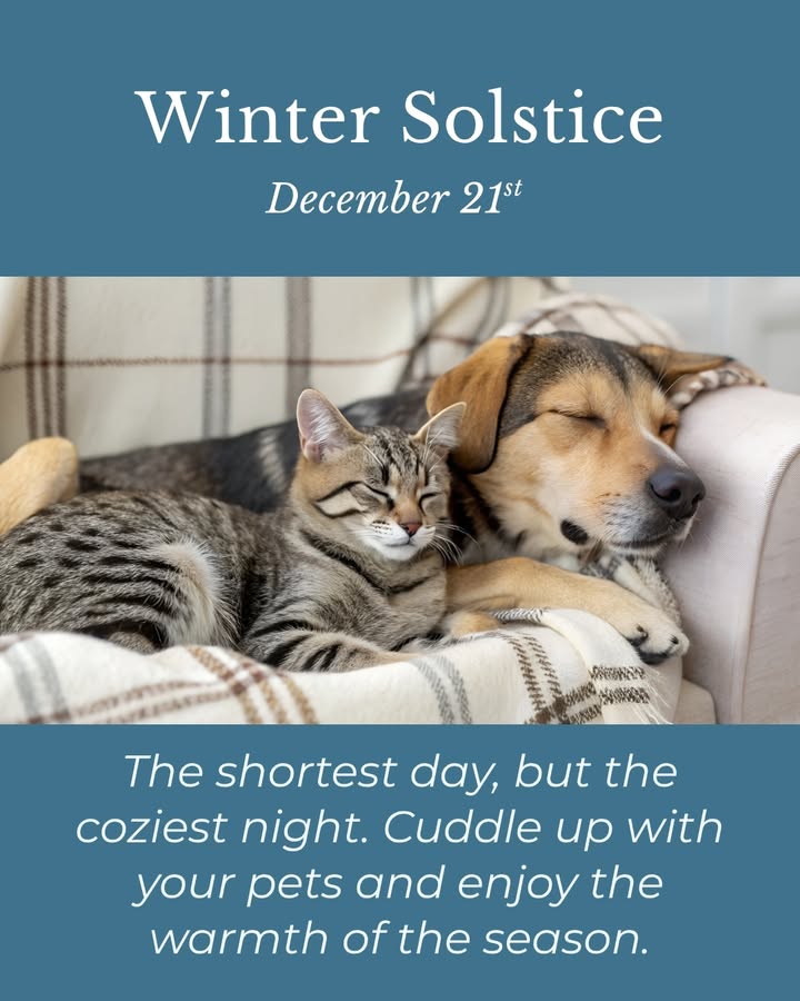 A post from Lake Orion Veterinary Hospital