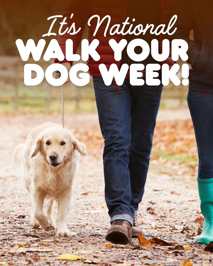 Get those sneakers ready—it’s National Walk Your Dog Week!