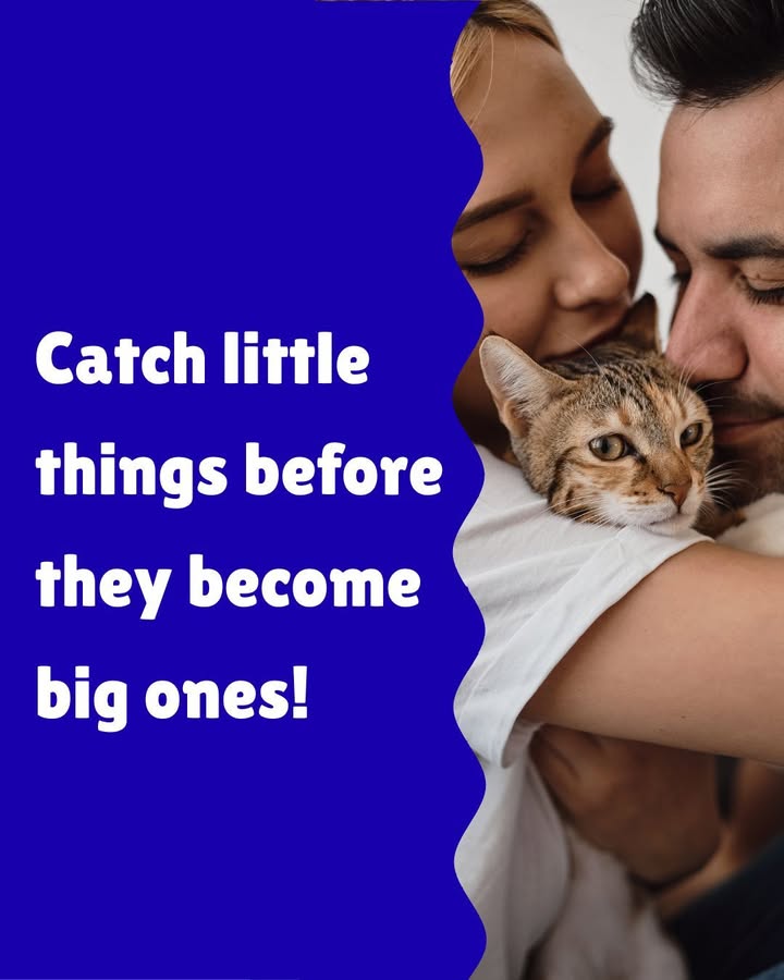 Preventative care helps catch little things before they become big ones