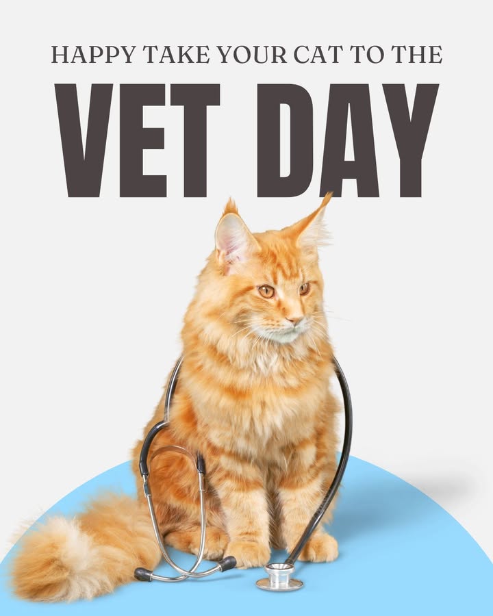 Your cat called… okay maybe not, but they do need a checkup