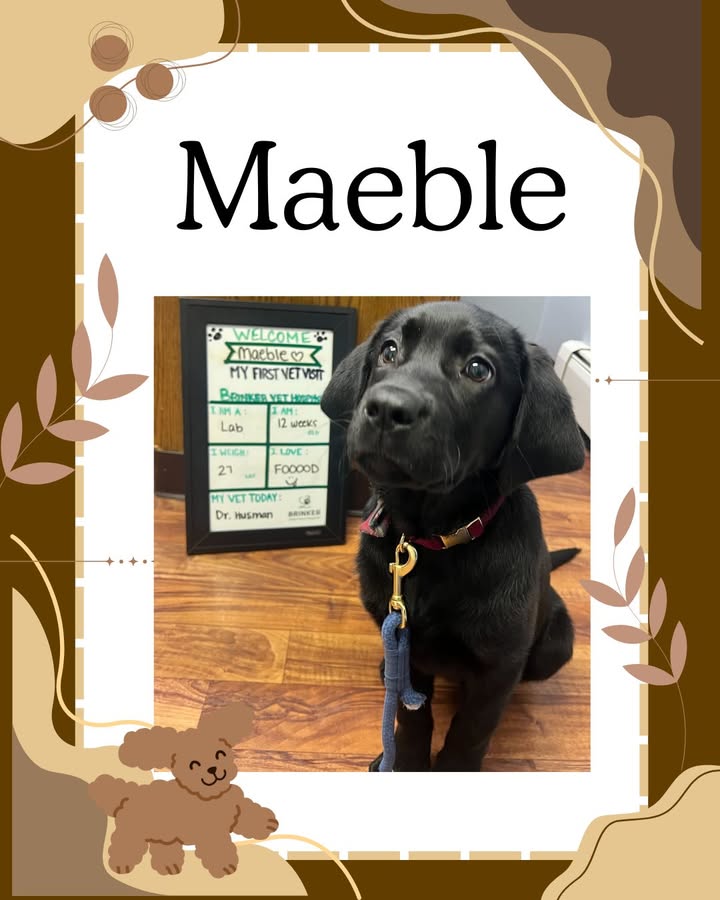 Welcome, Maeble, to the Brinker Vet family!