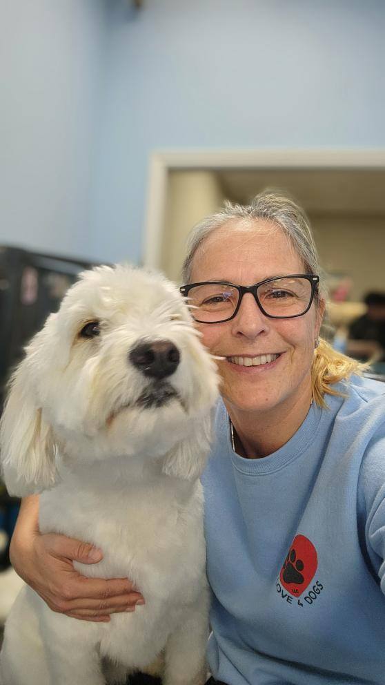 Photos from Love 4 Dogs's post