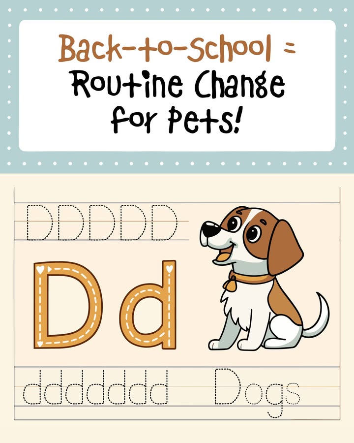 Pets can feel the changes when back to school season comes around